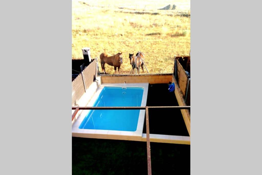 La Espiga De La Mata Villa Segovia Bagian luar foto